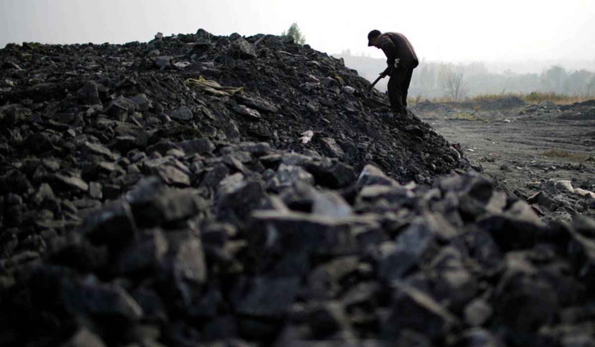 China fires up giant coal power plant in face of calls for cuts